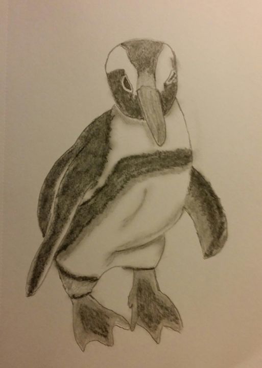 Posing Penguin - Lee 'Bert' Hammond