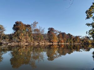 Fall Reflection