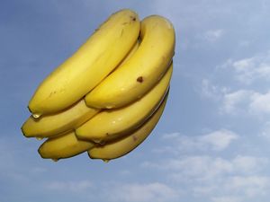 Floating bananas