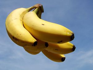 Floating bananas