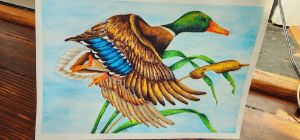 MyDuck