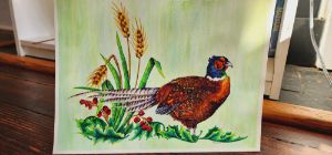 Pheasant