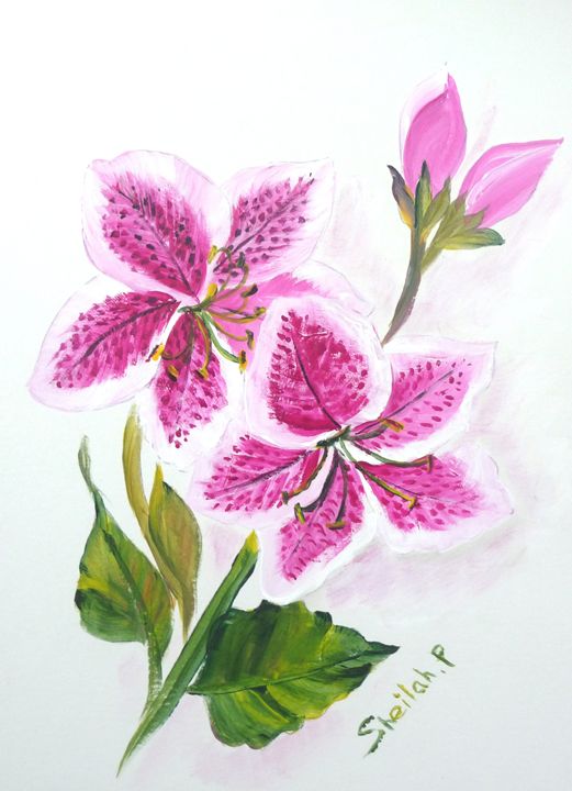 Lilly in Acrylic - Sheilah's Art - Paintings & Prints, Flowers, Plants ...