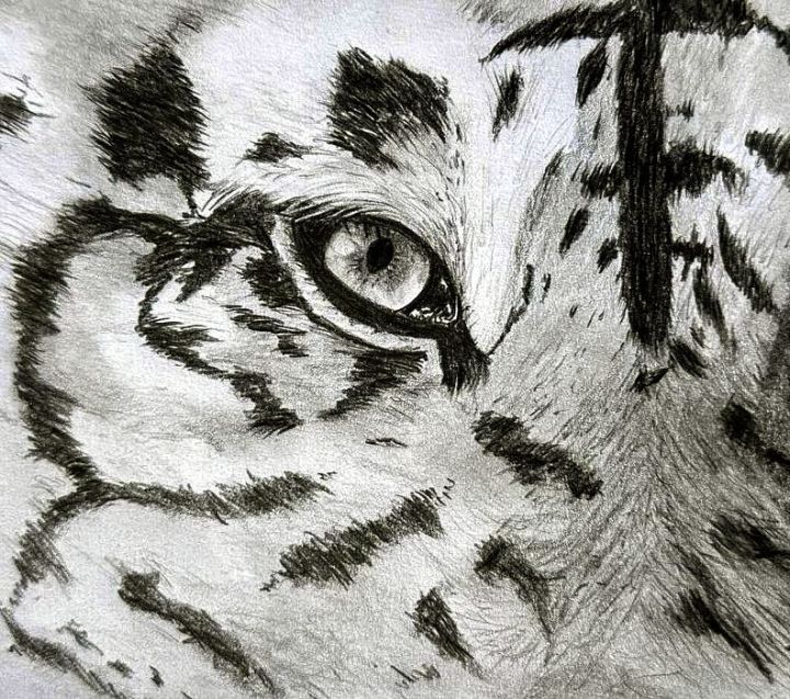 Em alta em arte esta semana  Cat drawing, Cat sketch, Animal drawings