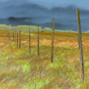 Fence Posts, Freed