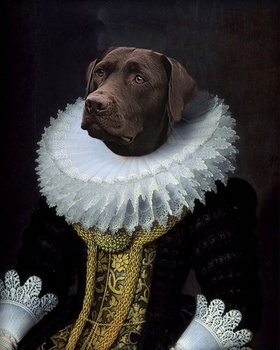 Funny Pet portraits Custom | Dog Photo portraits | Furryroyal