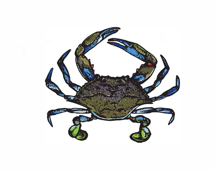 Blue Crab - Haley Eileen