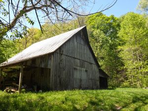Barn wood fever