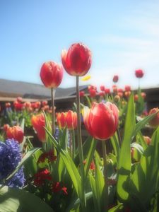 A Sunny Day at Pier 39