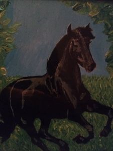Black Stallion Galloping