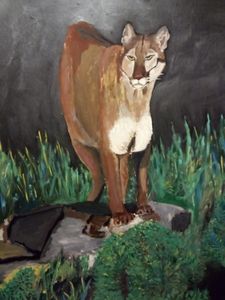 Mountain Lion in the Eve