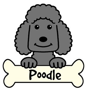 Cartoon Poodles : Although it grows to an average small dog size, akin