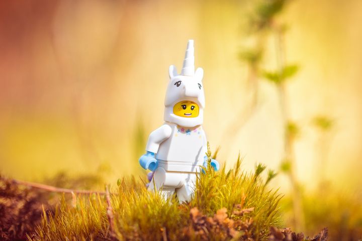 Unicorn Girl Lego Minifigure Stock Photo - Download Image Now - Lego, Lego  Minifigure, Figurine - iStock