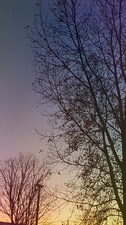 Perfect Sundown - The small things
