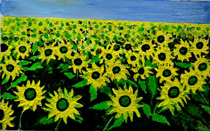 Sunflower Field Anand Paintings Paintings Prints Flowers
