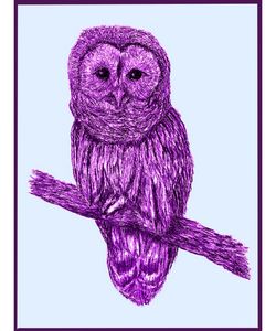 A Little Barn Owl In Purple Abstract