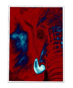 Elephant Deep Red and Blue Abstract