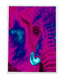 Elephant Deep Fluorescent Pink Art