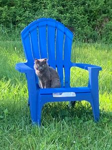 Miranda Blue Chair