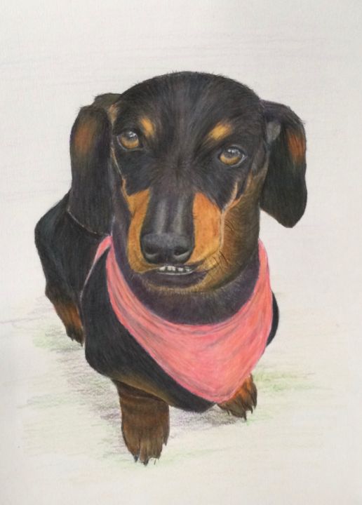 Daschund - Greta Granger - Paintings & Prints, Animals, Birds, & Fish ...