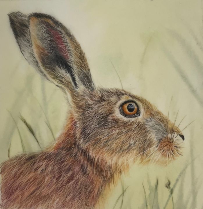 Suffolk Hare - Greta Granger - Paintings & Prints, Animals, Birds ...