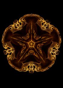 Fivefold Flower Pattern - Study of Cymatics