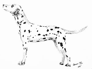 Black & White Dog Collection - CC World - Digital Art, Animals, Birds, &  Fish, Dogs & Puppies, Dalmatian - ArtPal