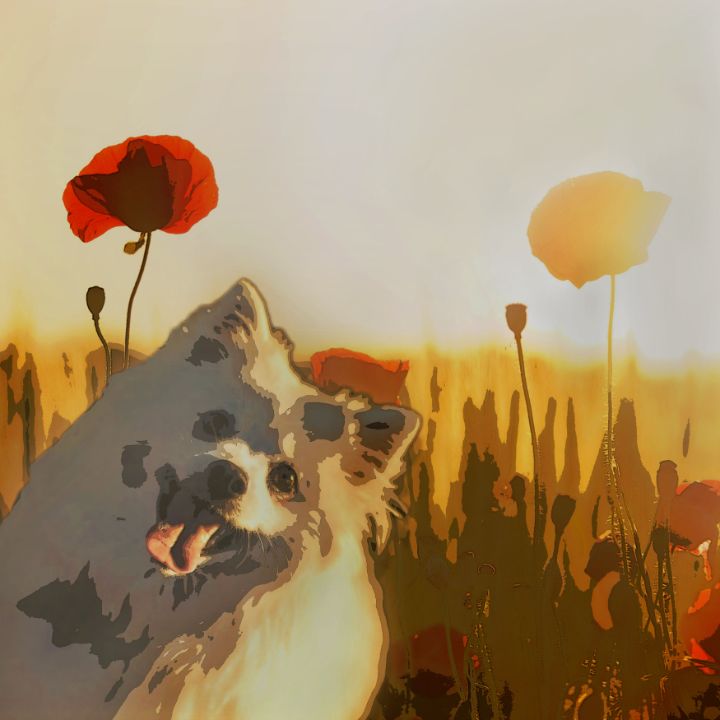A Happy Dog Loves The Sunset - PhotooTwist - Digital Art, Animals