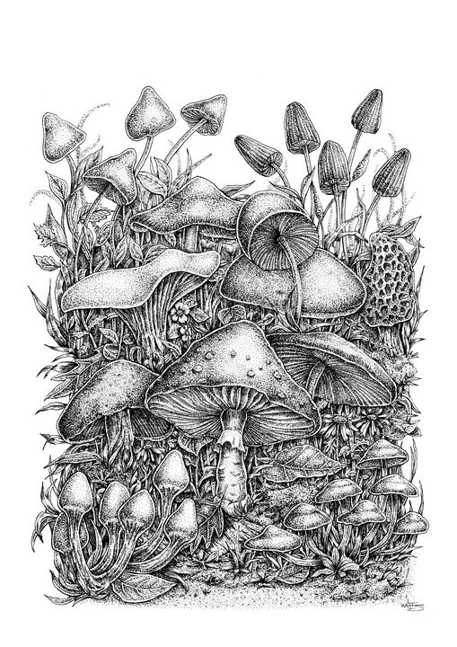 Spirit of the Mushrooms - Gnostic Forest Art