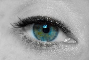 Vision