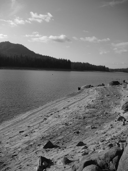 Lake - Mandy Payne