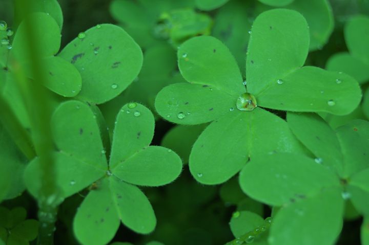 luck - Mandy Payne