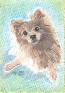 CUTE LULU DA POMERANIA DOG - MONTORO - Drawings & Illustration, Animals,  Birds, & Fish, Dogs & Puppies, Pomeranian - ArtPal