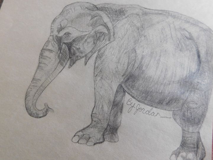 Elephant - Jordan