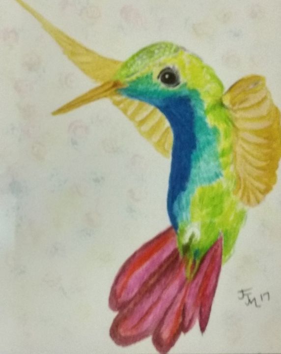 Hummingbird of a colour - JmurArt