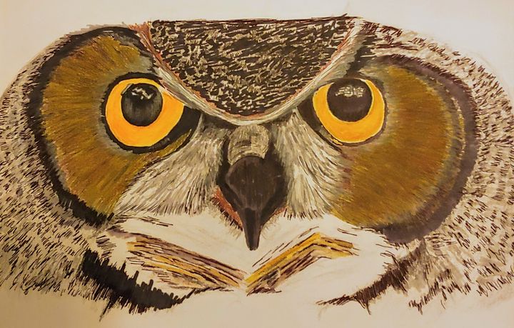 Owl - JmurArt
