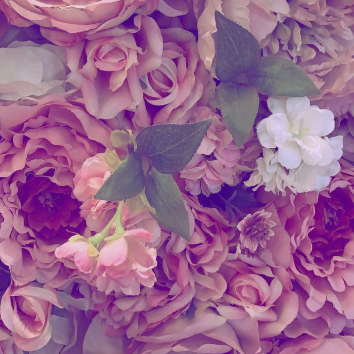 London Flowers Morbid Candy Boutique Photography, Flowers, Plants