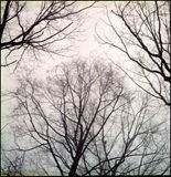 Original Color Film Photograph
