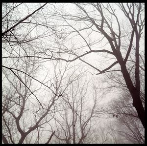 Winter in Gulph Mills