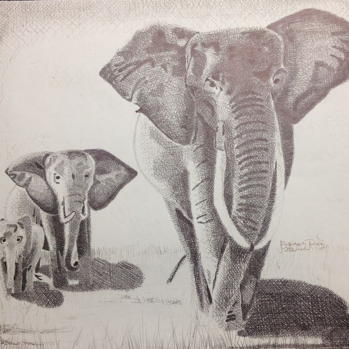 Elephants - Marinez Ruiz