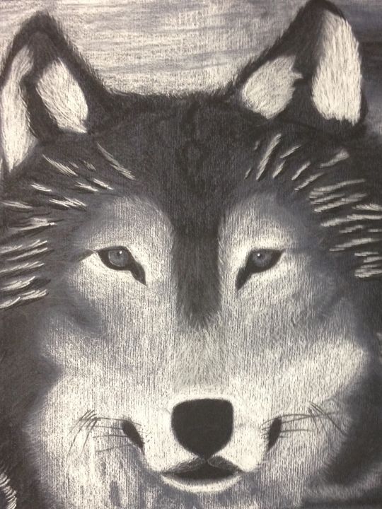 Wolf - Marinez Ruiz