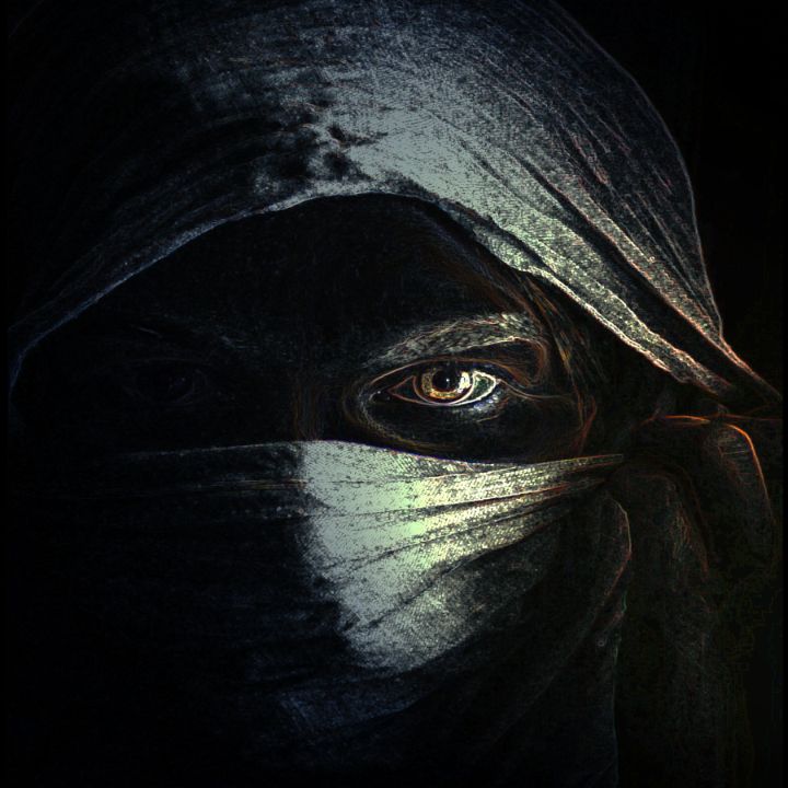 Shrouded Face In The Dark 4 - Web Seed Designs - Digital Art, People ...