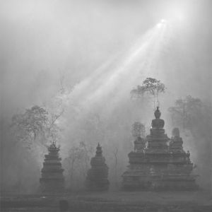 Black & White Misty Jungle Temple