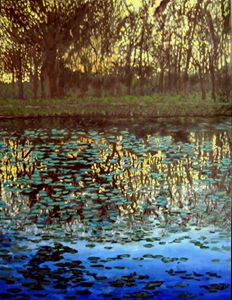 Pools of Light - David Zimmerman Fine Art