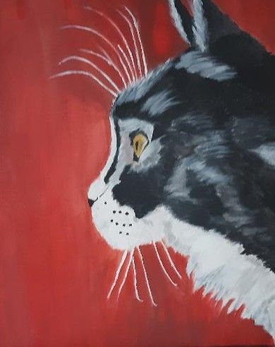 le chat noir et blanc Delphine Gr zes Artiste peintre