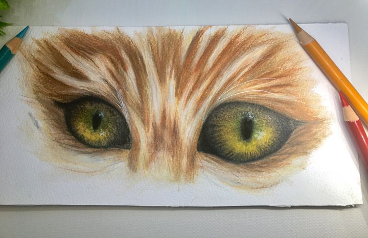 Green Cat Eyes Drawing - Kincso's art - Paintings & Prints, Animals, Birds,  & Fish, Other Animals, Birds, & Fish - ArtPal