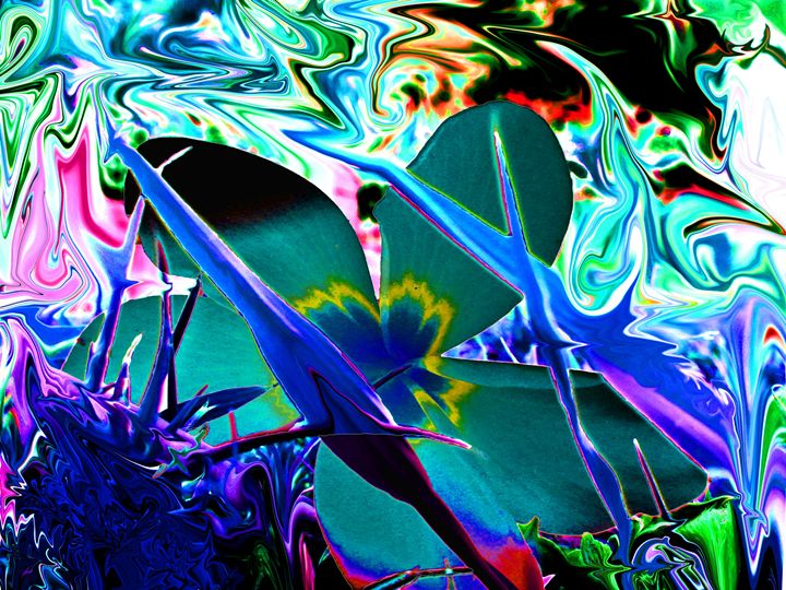 Flower Acid Christopher Gutierrez Photography, Flowers, Plants