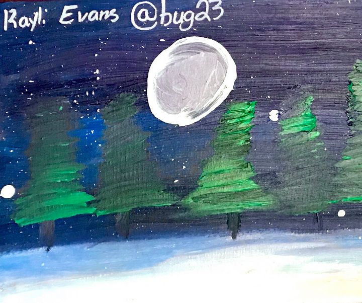 SNOWY NIGHT - Pallets