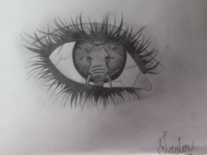 880 Elephant Eye Illustrations RoyaltyFree Vector Graphics  Clip Art   iStock  Elephant face Lion Tiger eye