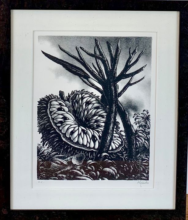 "Corona de las Frutas" - Zamara Gallery